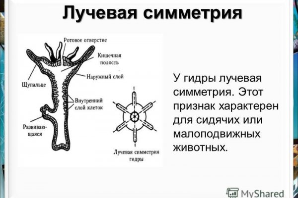 Ссылка кракен kraken014 com